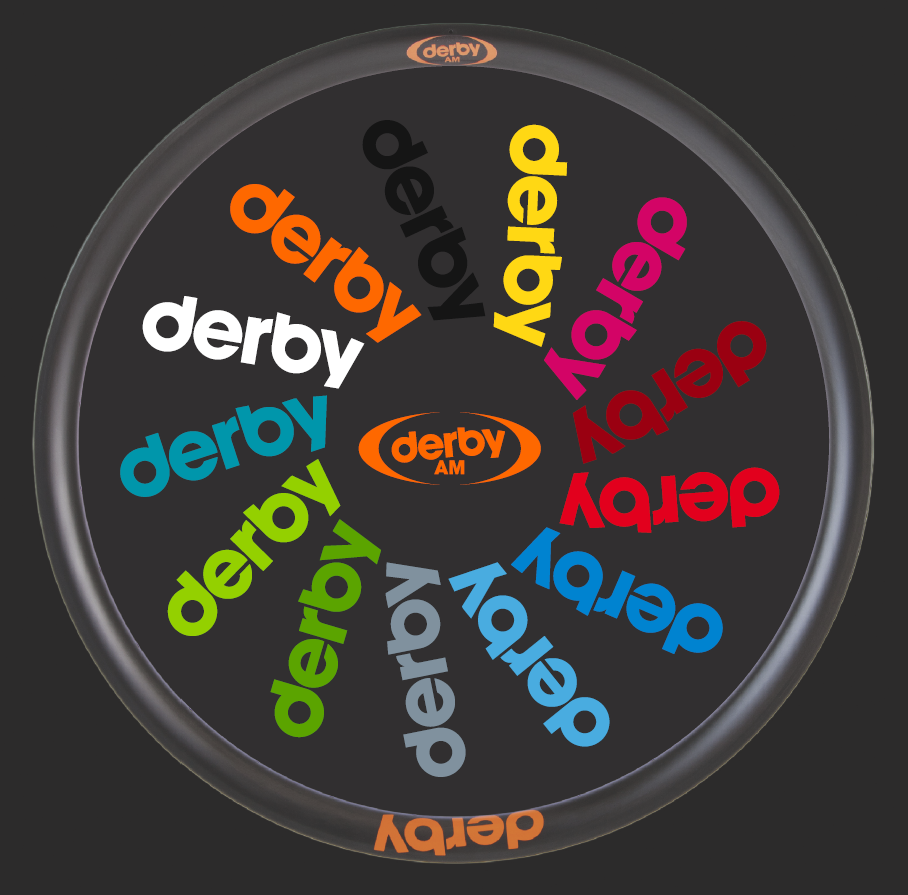 Derby Rim Derby Wide Carbon Rims (MTB) – BIKEAID.sg by Yap Bicycle Compania